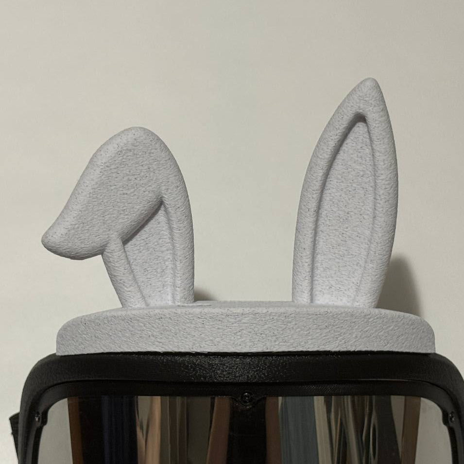 Bunny Ears, Mask 2 accessory
